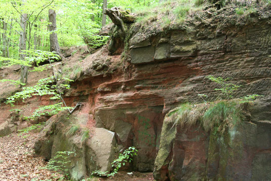 kurz vor der Burg