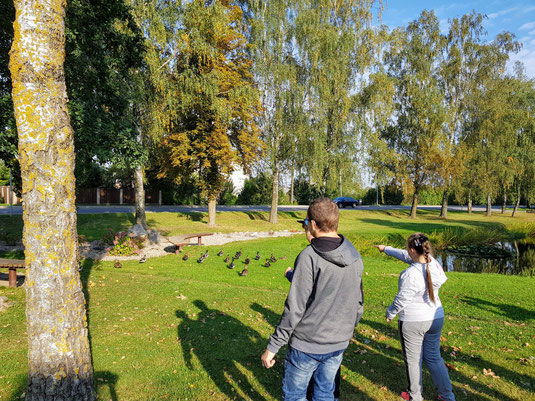 Nuotraukų galerija. Spausti ant nuotraukos.
