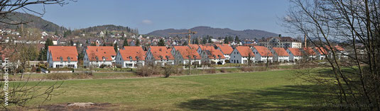 Fitze Dach AG Ansicht der Grossübauung in Glattfelden an der Glatt, wo Fitze Dach alle Dächer gedeckt hat