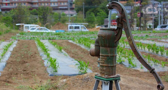 手動ポンプ ガチャポン 井戸掘り 地下水汲上 現状中古 防災用ポンプ