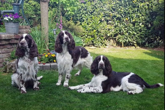 3 Generationen "vom Grafenberg" Oma Nele, Mama Piri und Tochter Rosine