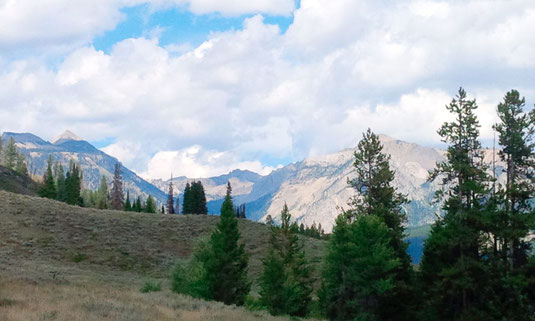 The Gros Ventre Wilderness