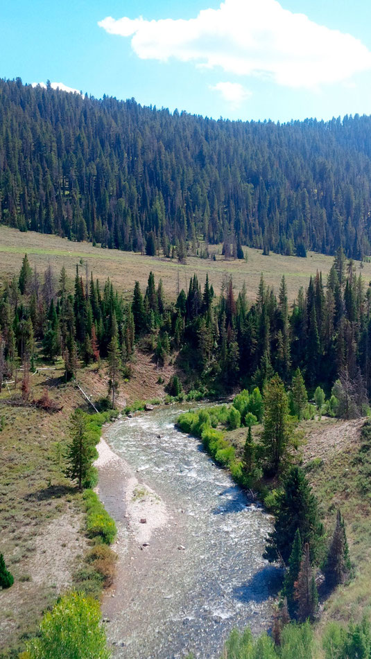 The Hoback River, Wyoming