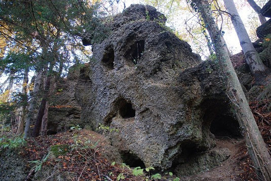 Abb. 1: Aufgelassener Steinbruch bei Untersteinbühl