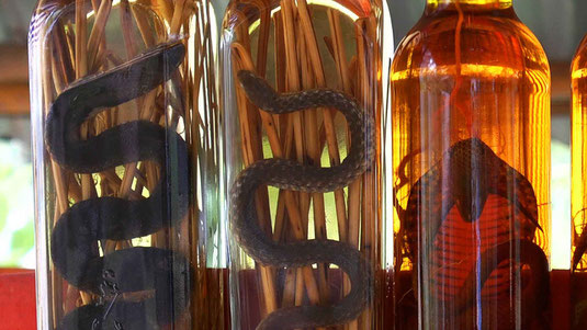 Bouteilles de Lao lao (whisky national) arôme serpent ou scorpion au choix... A consommer avec modération!