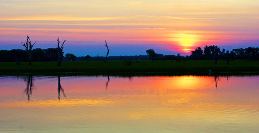 Yellow Water, Kakadu National Park