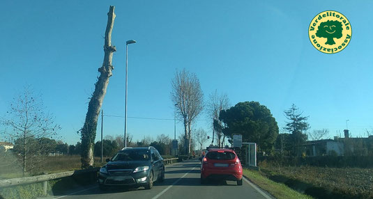 clicca sulla foto