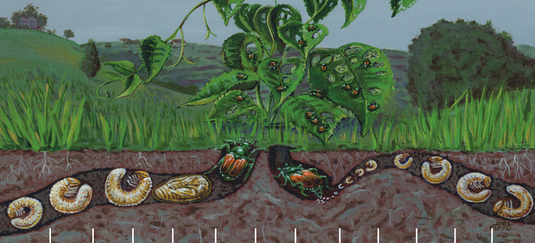 Von Joel Floyd - USDA APHIS (Animal and Plant Health Inspection Service) publication; also (smaller) in the artist’s portfolio, where the medium is specified as acrylic., Gemeinfrei, https://commons.wikimedia.org/w/index.php?curid=59426662