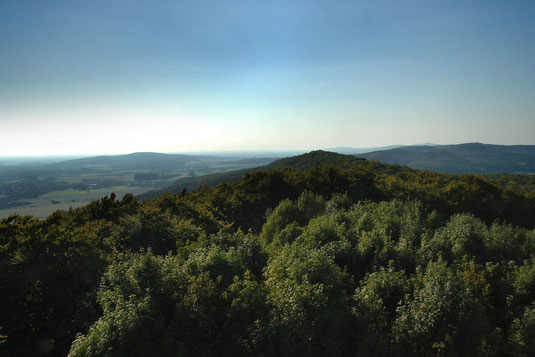 Eggegebirge - Foto M. Münch