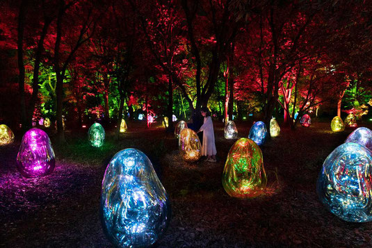 Main_Floating Resonating Lamps on Oike Lake - Ambiguous Colorsチームラボ《大池に浮遊する呼応するランプ - 曖昧な色》©チームラボ