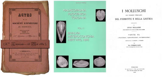Testi utili per la classificazione dei fossili: Actes de la societè linneenne (1800-1900), Malacofauna pliocenica toscana di Carlo Chirli (anni 2000), Bellardi-Sacco (1800)