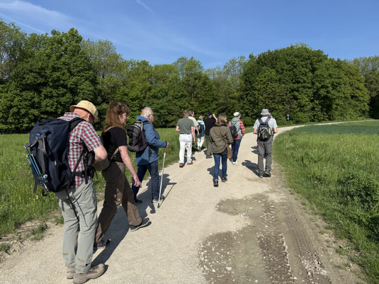 Die Teilnehmenden der Exkursion am Hetzleser Berg © Kathrin Hämmerle