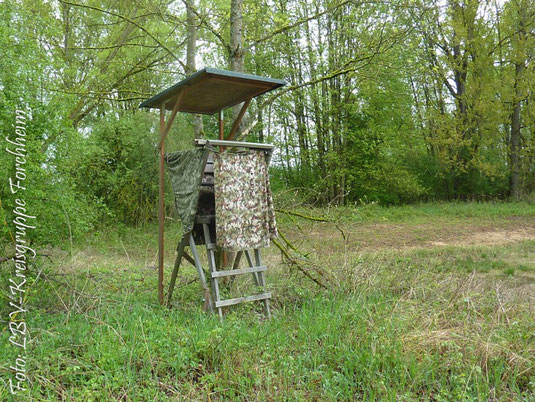 Unsere Forderung: Die Jagd hat während der Brutzeit in einem Naturschutzgebiet zu ruhen! (Foto: Ute Wild)