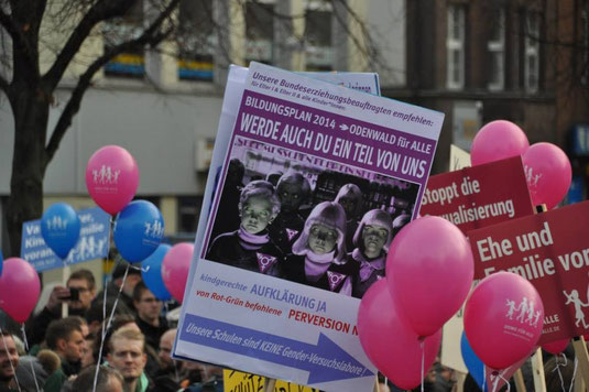 "Demo für Alle" in Hannover (Foto: Stefan Mielchen)