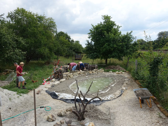 Bau des Schmetterlingsgartens