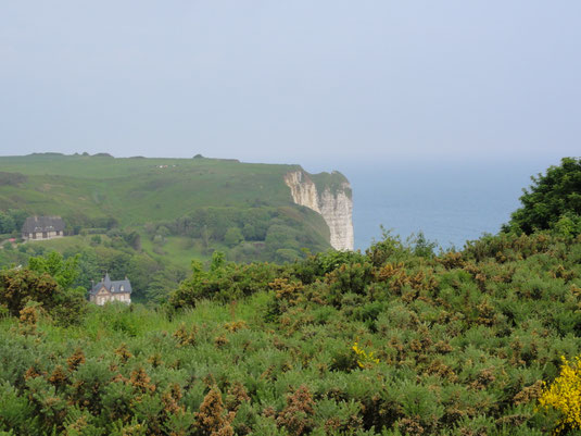 FALAISE DU PAYS DE CAUX