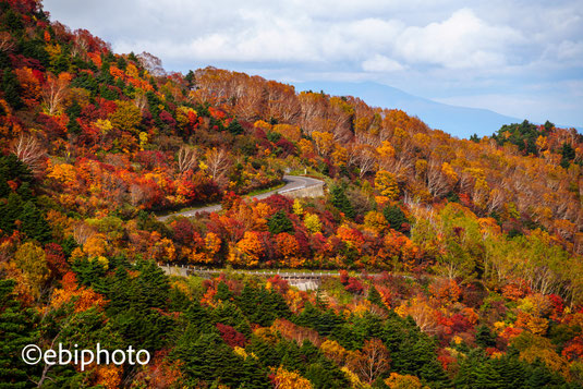 磐梯吾妻スカイライン