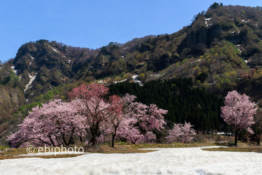 旧小玉川小中学校