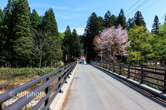 大井沢