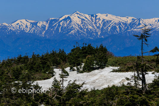 大朝日岳