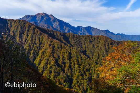 越後駒ヶ岳