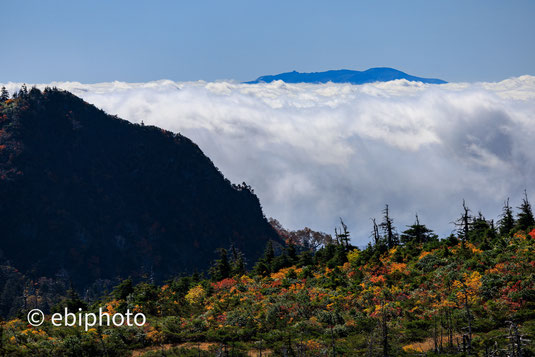 雲海と紅葉