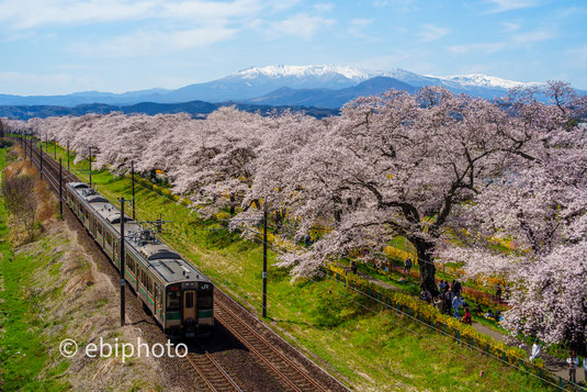 蔵王と桜と東北本線