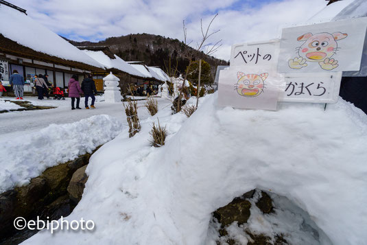 大内宿雪まつり