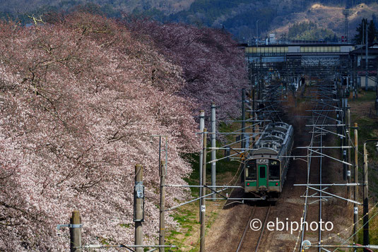 東北本線