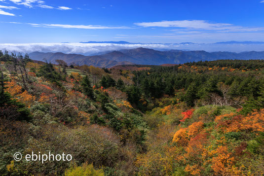 吾妻連峰と飯豊連峰