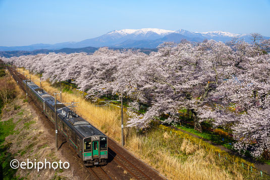 蔵王と桜と東北本線