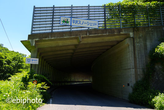 檜枝岐村