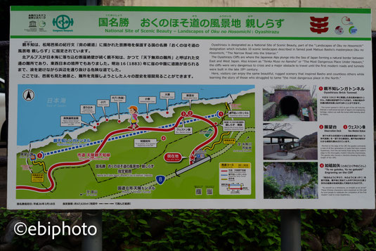親不知