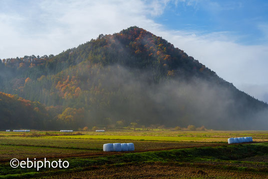 高畠町