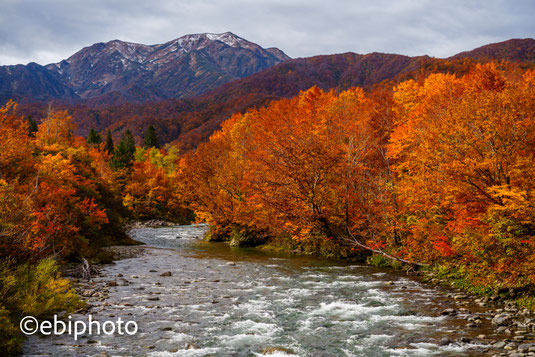 檜枝岐村〜奥只見の紅葉 - エビフォト 写真