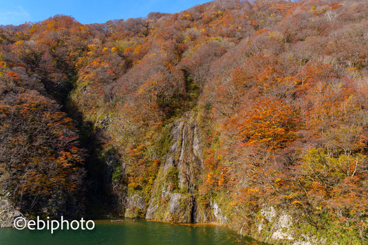 荒川