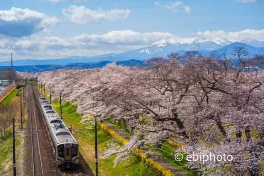 東北本線