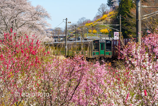 東北本線