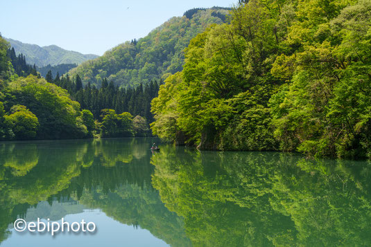 霧幻峡の新緑