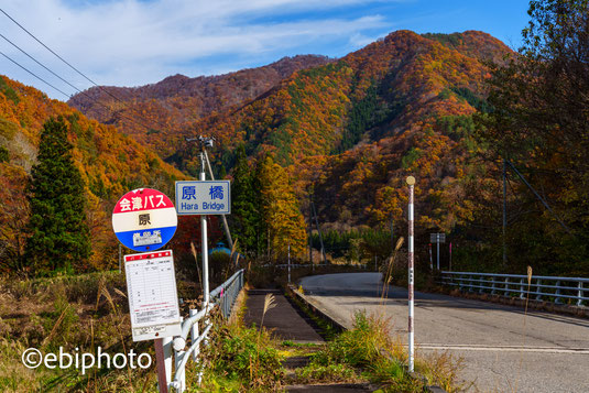 下郷町の紅葉