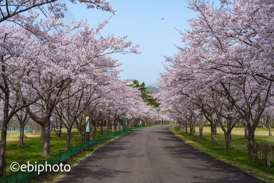 七ヶ宿公園