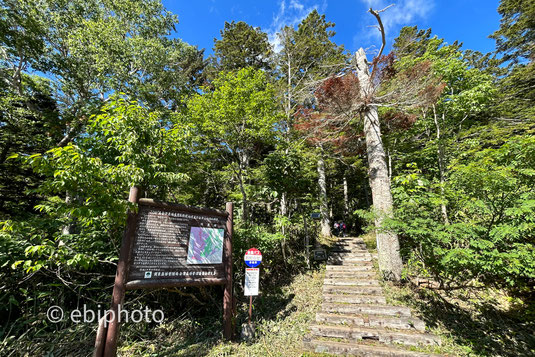 沼山峠