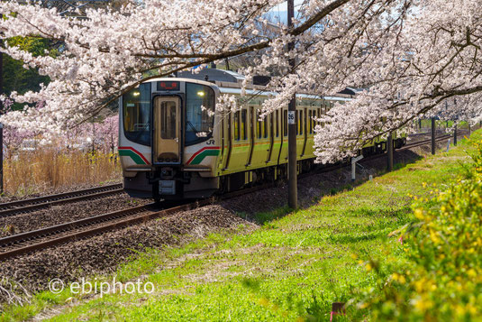 桜と東北本線