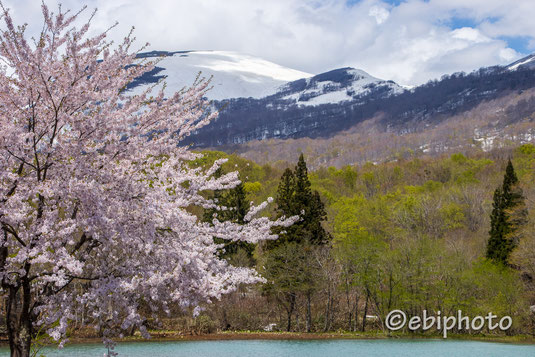 月山志津温泉