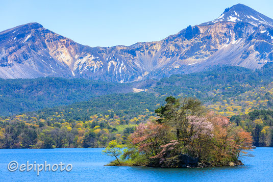 桜島