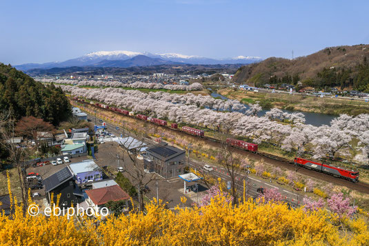 船岡城址公園