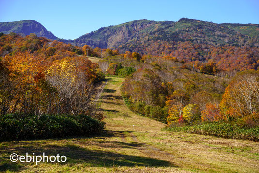 苗場山と神楽ヶ峰の紅葉