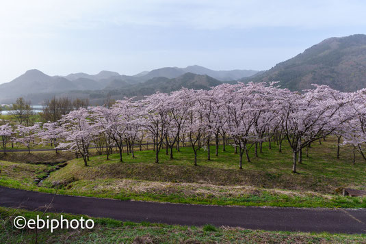 七ヶ宿公園