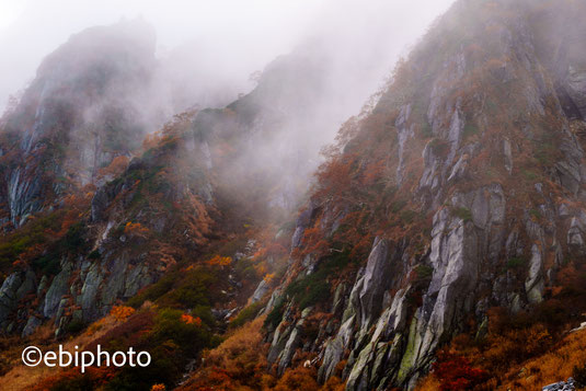 雲と紅葉