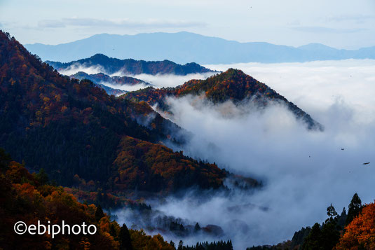 雲海